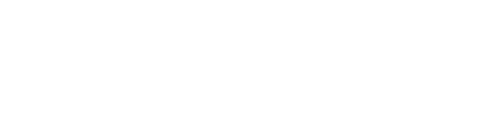 tecnifibre